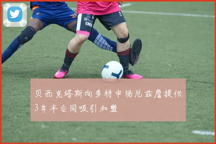 贝西克塔斯向多特中场厄兹詹提供3年半合同吸引加盟